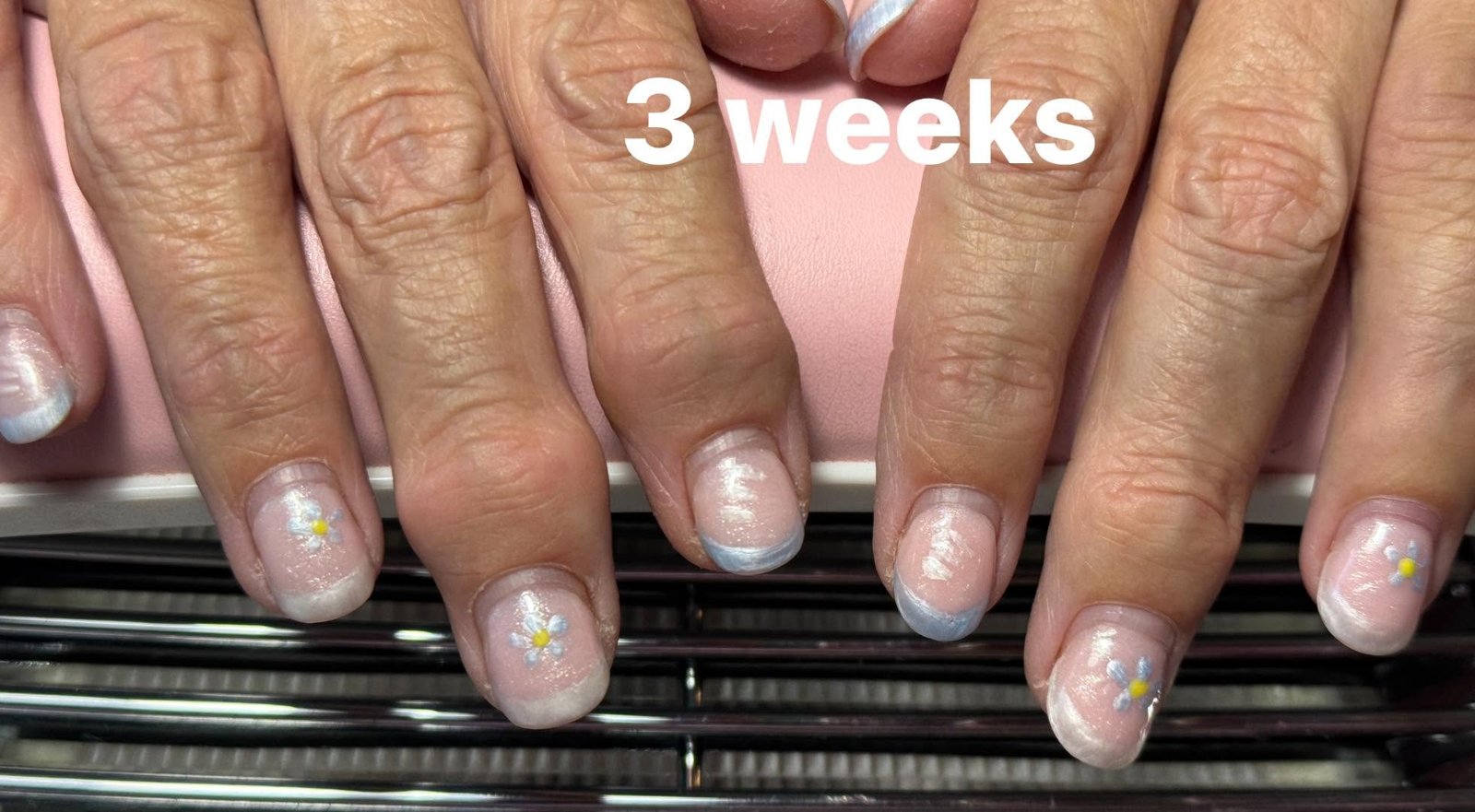 Sheer French tips with tiny painted daisy accents